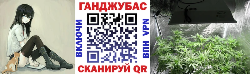 Канабис семена  Зубцов 